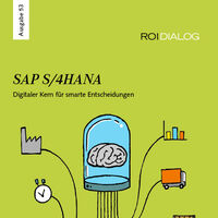 Gruenes Cover des ROI DIALOG Magazin mit Illustration