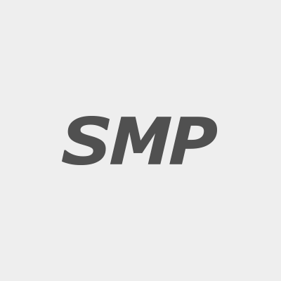 ROI SMP Logo der Firma SMP