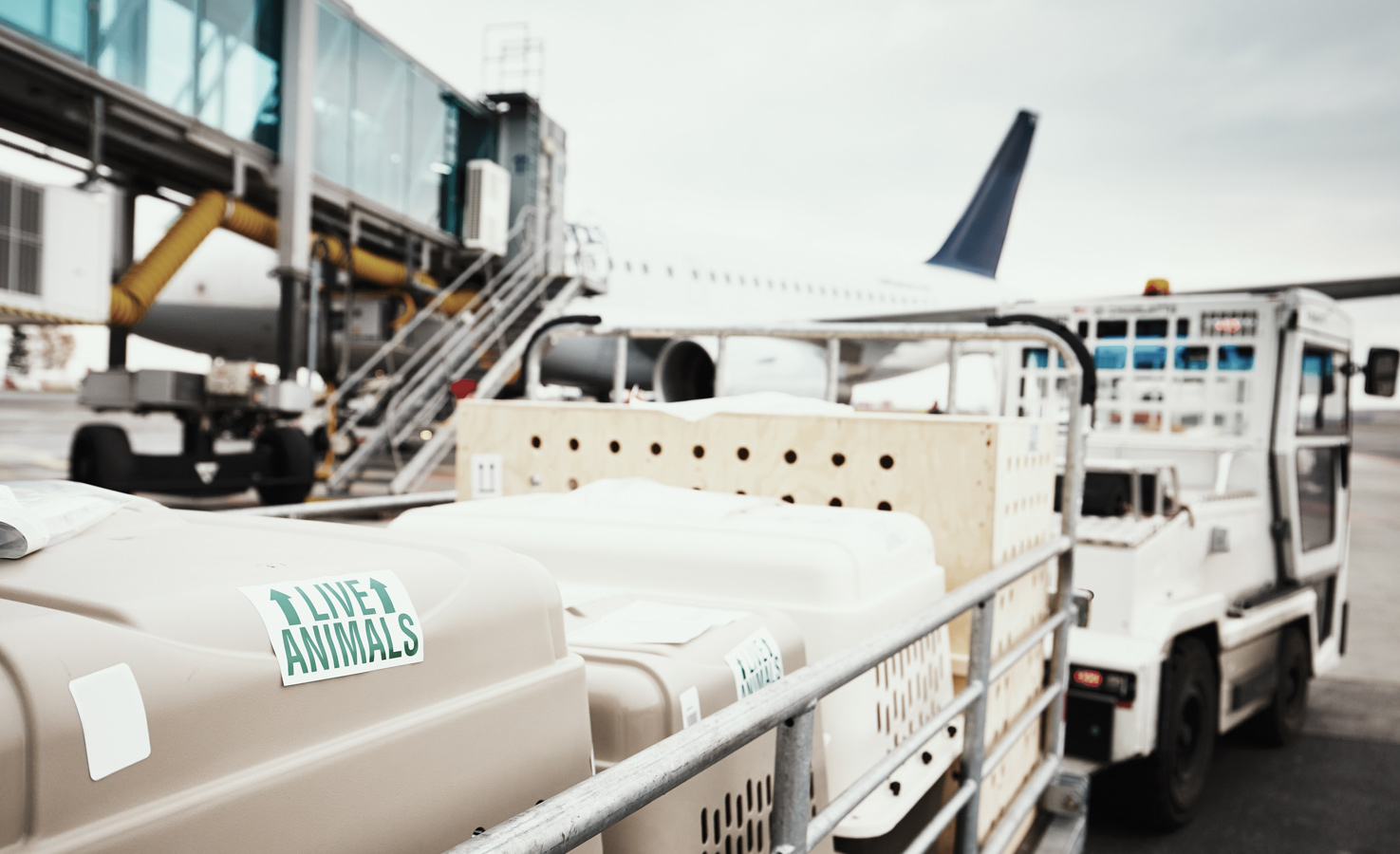 ROI Magterialfluss Transportboxen am Flughafen